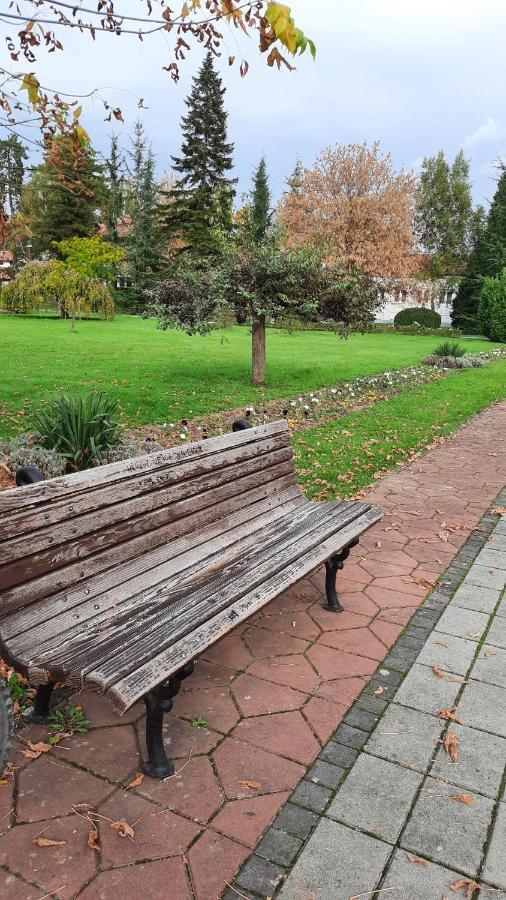 Apartman Mila, Banja Koviljača 외부 사진