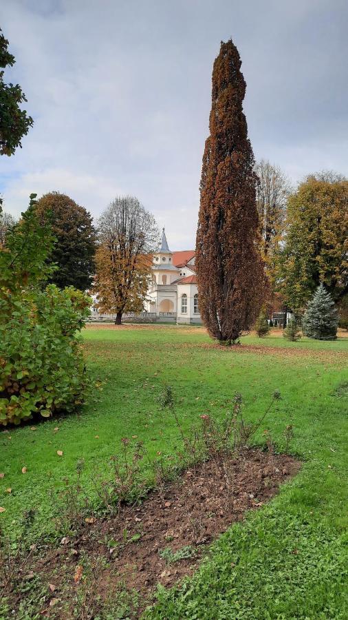 Apartman Mila, Banja Koviljača 외부 사진