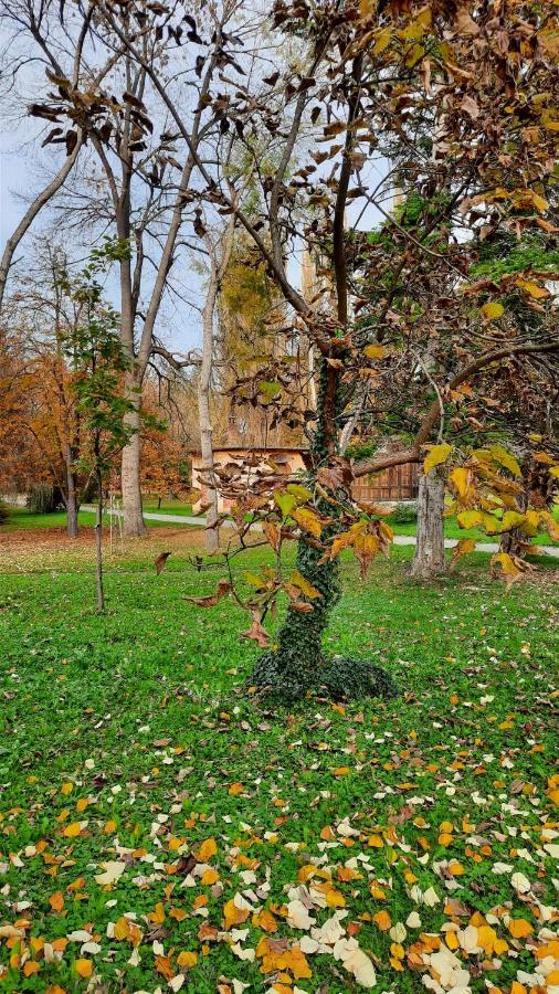 Apartman Mila, Banja Koviljača 외부 사진